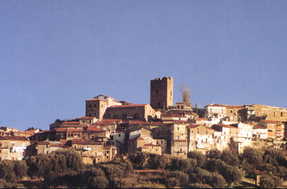 panorama novi velia